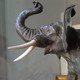 Eléphant en bronze d'Oscar Waldmann